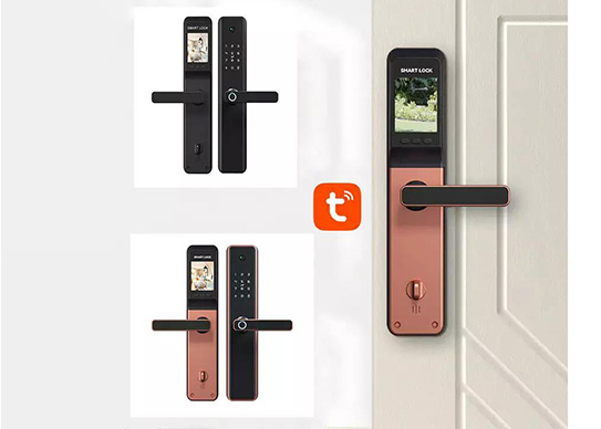 cheap wifi door lock