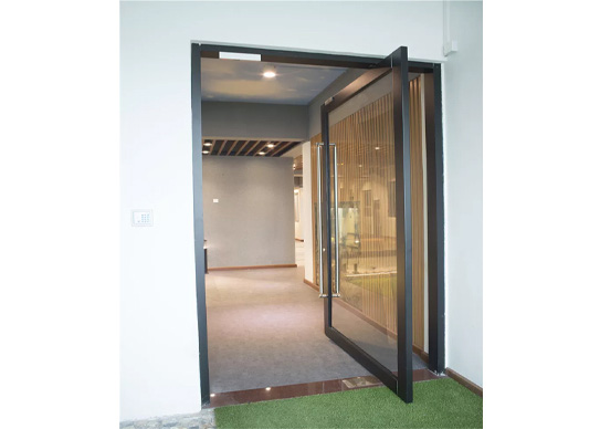 steel pivot door