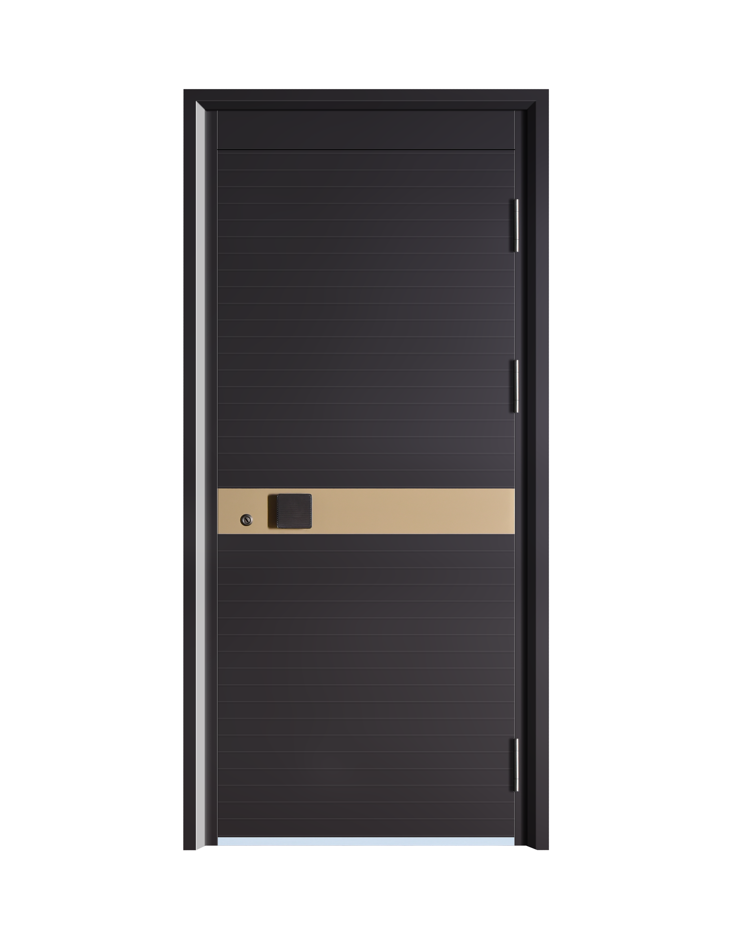 Casting a Durable Defense: Longevity of Cast Aluminum Security Doors ...
