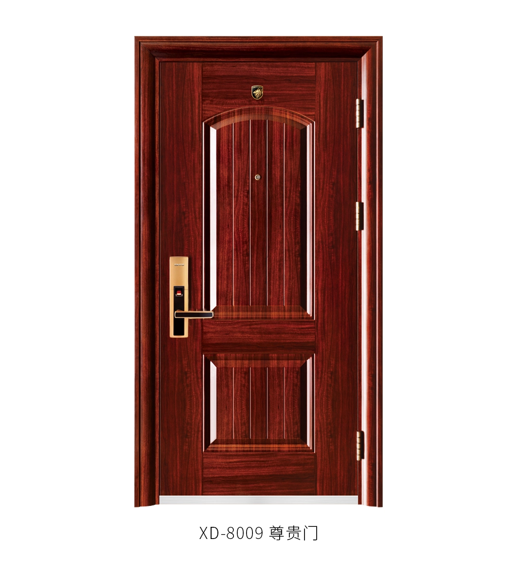 Steel Security Doors: The Rising Standard in Modern Safety